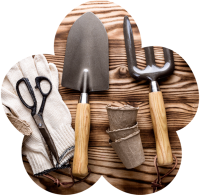 Lorem ipsum dolor sit amet